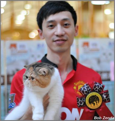 Cat Need  Jessica